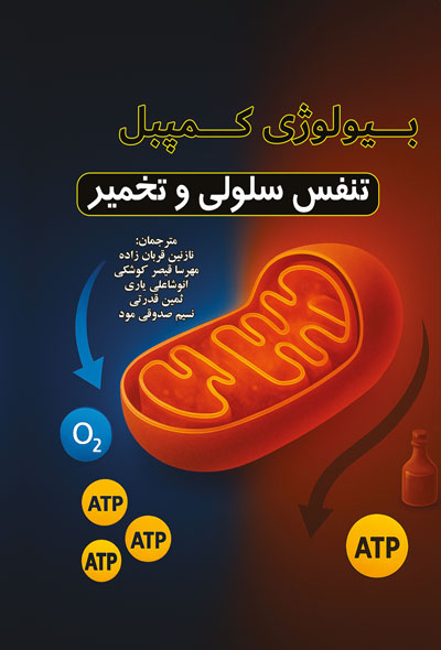 بیولوژی کمپبل تنفس سلولی و تخمیر